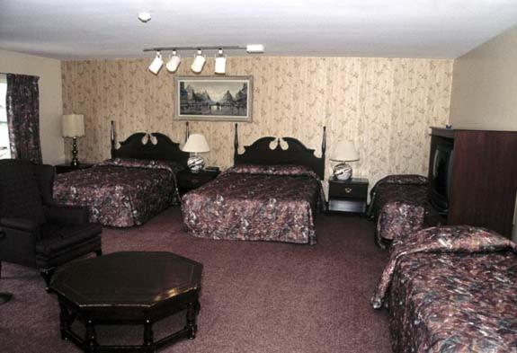 Ivy Rose Motor Inn Віндзор Екстер'єр фото
